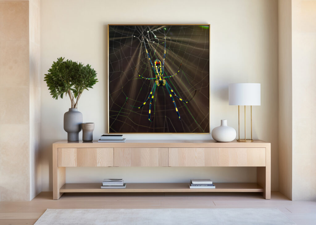 acrylic prints