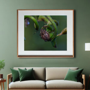 macro prints