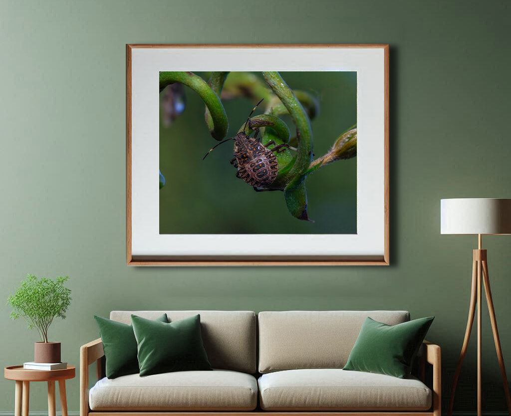 macro prints