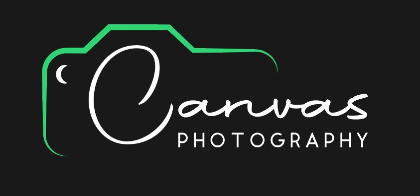 website logo